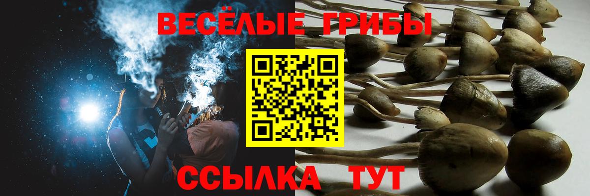 Галлюциногенные грибы ЛСД Ивантеевка