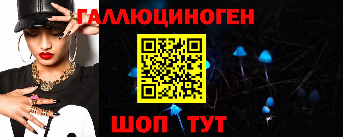 хочу   Вход с VPN  Ивантеевка  Псилоцибиновые грибы Magic Shrooms 